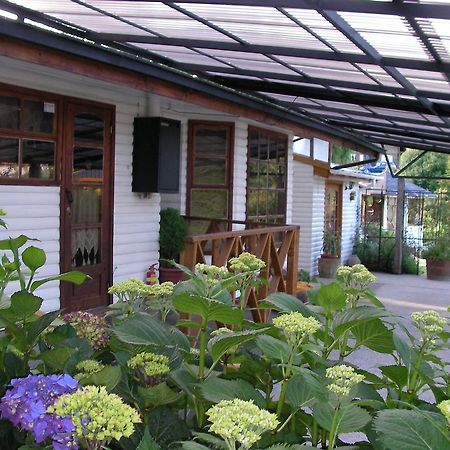 Complejo Cabañas Pétalos Villarrica Extérieur photo
